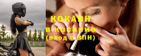 прущие грибы Алексеевка