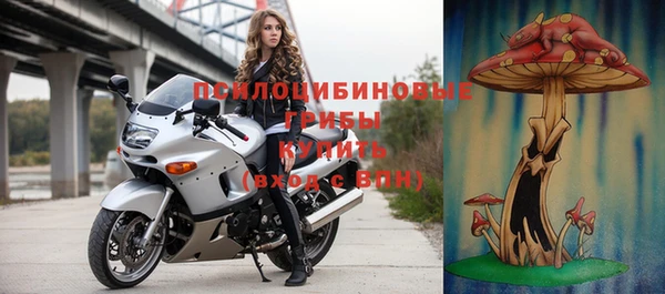 прущие грибы Алексеевка