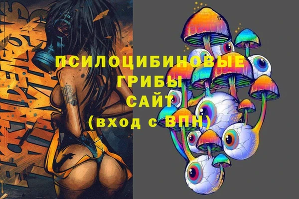 прущие грибы Алексеевка