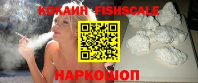 крисы Можга