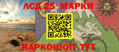 крисы Можга
