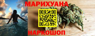 крисы Можга