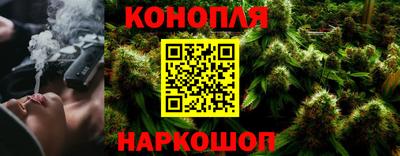 крисы Можга