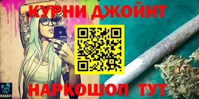 крисы Можга