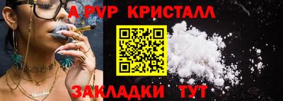 крисы Можга