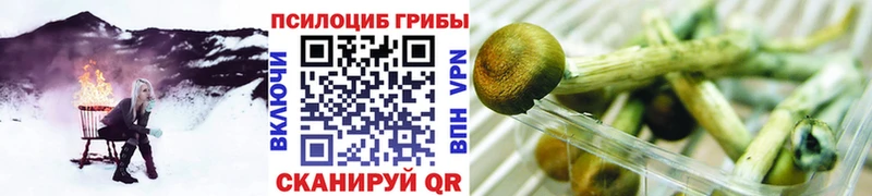 Псилоцибиновые грибы прущие грибы  mega маркетплейс  Череповец 
