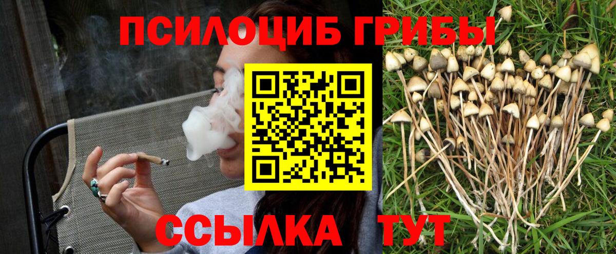 Череповец  Галлюциногенные грибы прущие грибы  купить наркоту  Вход с VPN 